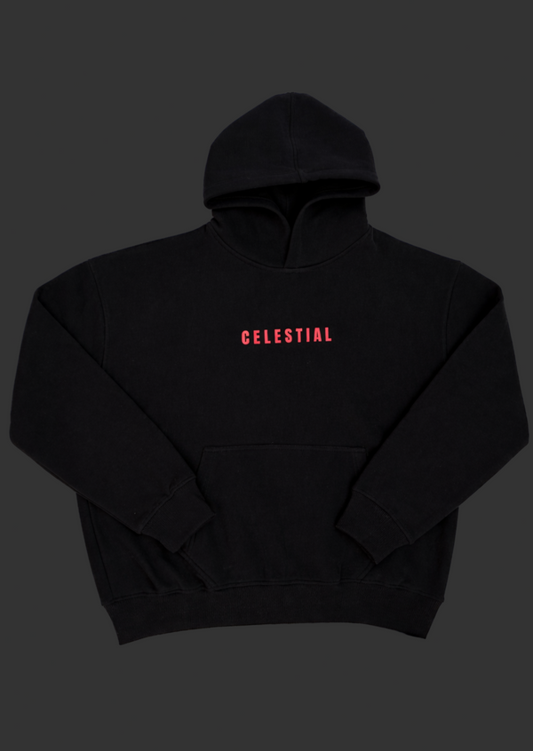 The Fall of Icarus Hoodie